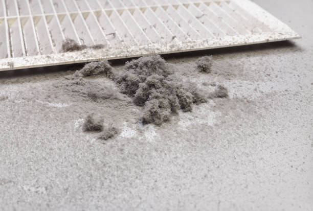 Best Emergency Air Duct Cleaning  in Southwest Ranches, FL