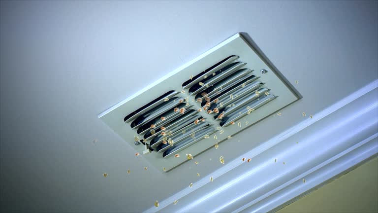 Best Affordable Air Duct Cleaning  in Southwest Ranches, FL