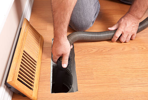 Air Duct Mold Removal in FL