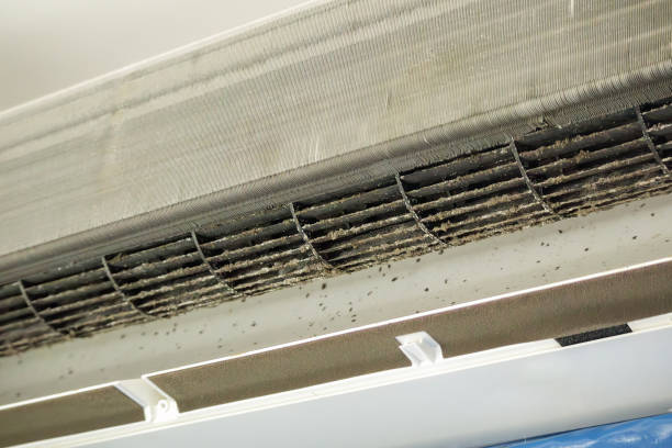 Best Dryer Vent Cleaning Services  in Southwest Ranches, FL